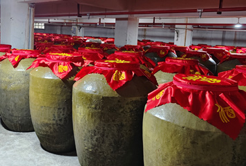 厂区环境2